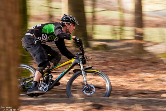  Cabalgando por el bosque 