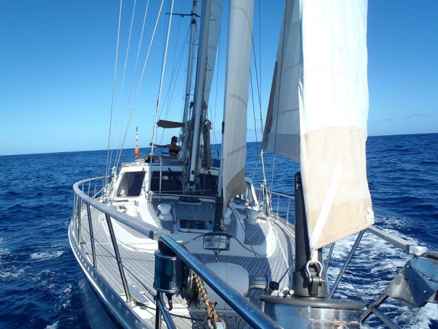  La Salamandra 