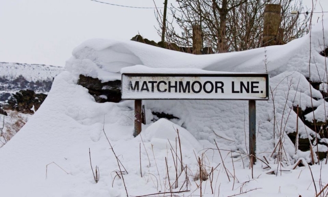  ¡Venga a visitarnos! 