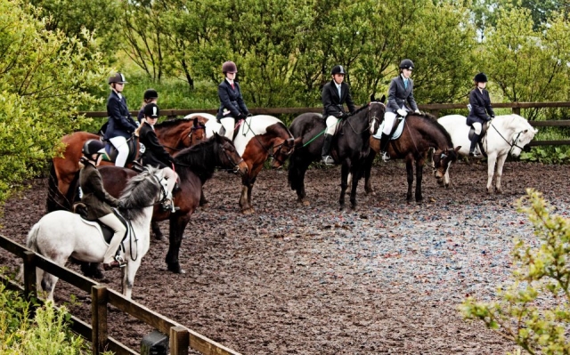  ¡Cursos para principiantes! 