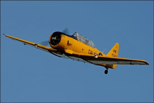  El vuelo de Harvard 