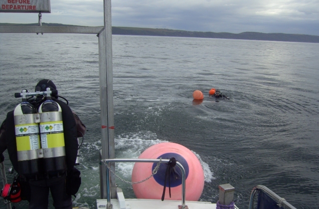 ¡Vive la mejor experiencia de buceo! 