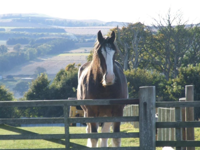 ¡Venga a conocerlos!