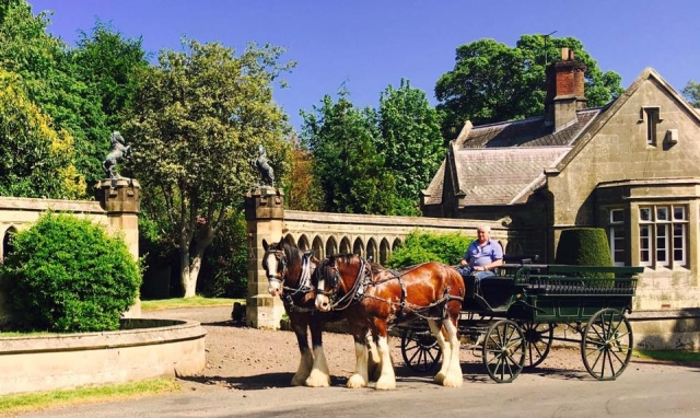 ¡Nuestros carruajes viajan!