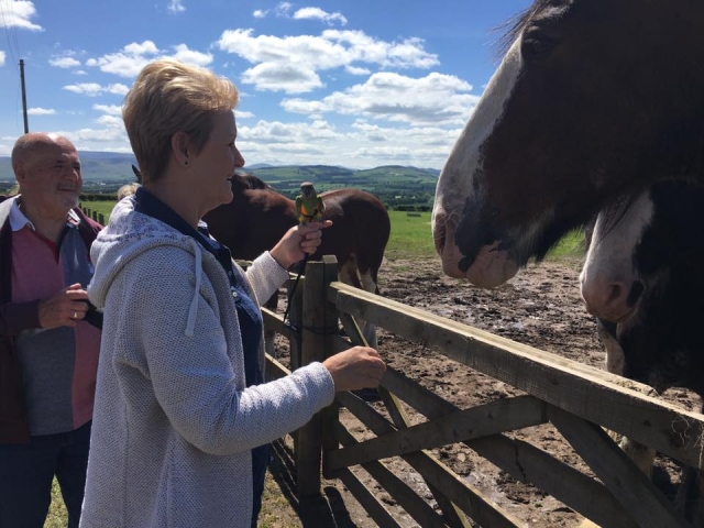 ¡Conociendo a los lugareños!