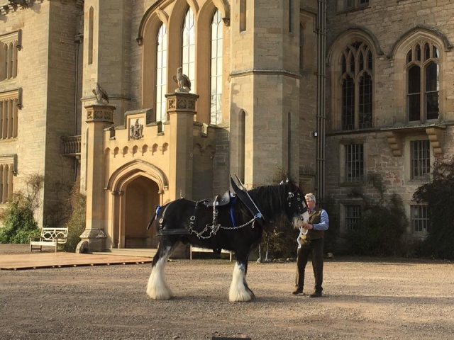 ¡Prueba con nosotros!