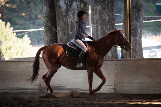  Visile nuestras comodidades 