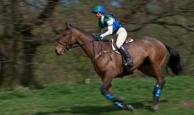  ¡Venga a uno de nuestros espectáculos abiertos! 