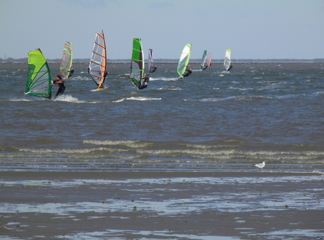  ¡Windsurf en grupo! 