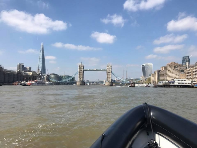  ¡The London Tower con renta de costillas en Thames! 
