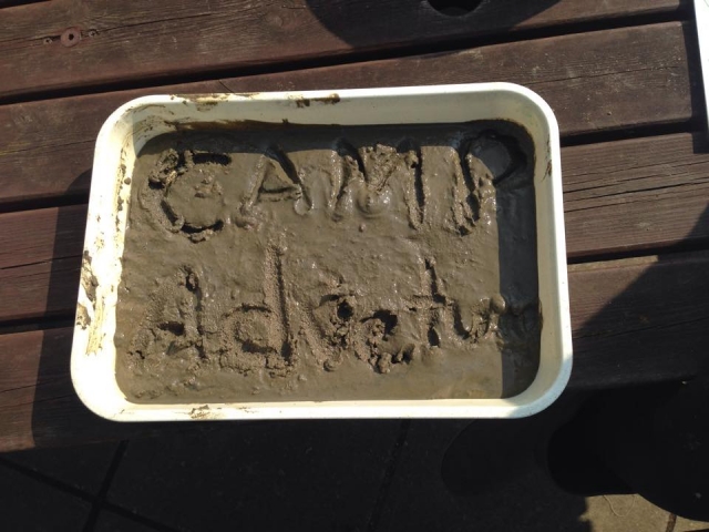  ¡Campamento de aventura! 