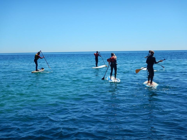  ¡Disfruta de la belleza de los alrededores mientras practicas paddle board! 