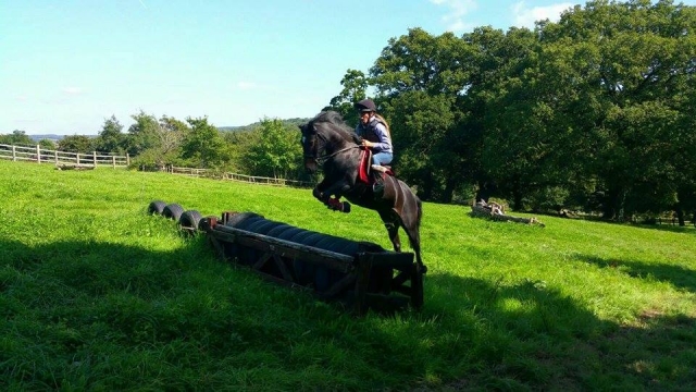  Showjumping en Finlake Riding Center 