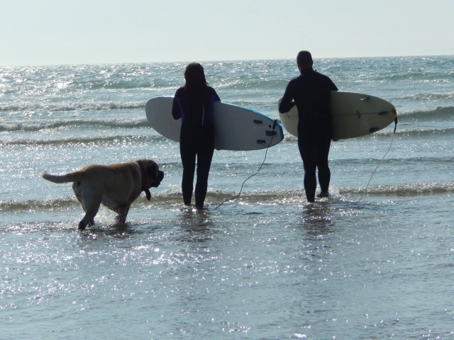  Surfeando con 3Elements 