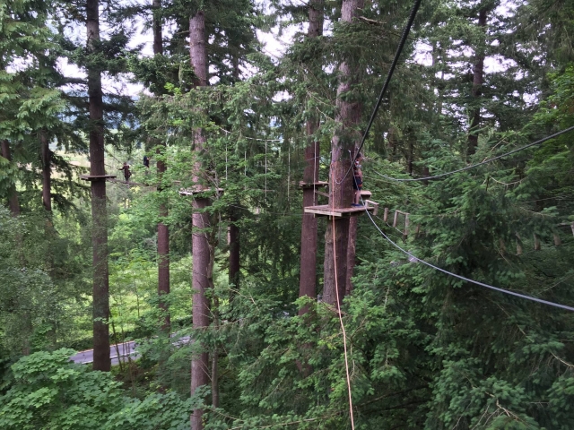  Observe el hermoso bosque duranle el curso 