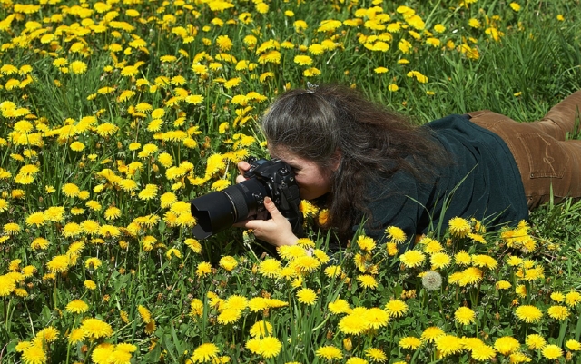  ¡Incluso puede tomar algunas fotografías! 