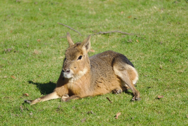  ¡Venga a conocerlos! 