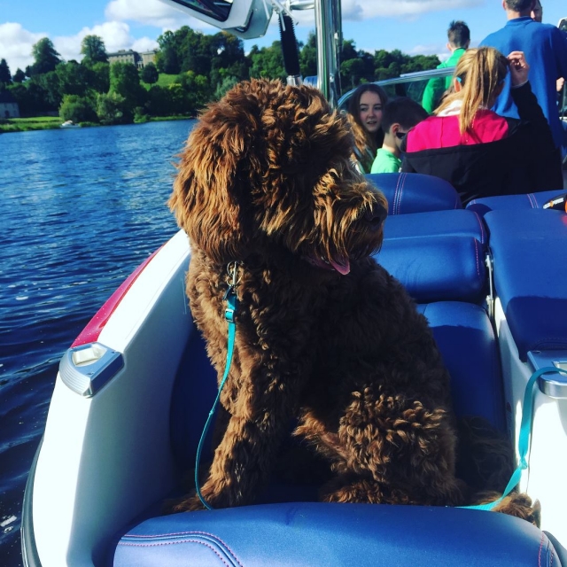 ¡Trae a todos tus ses queridos! 