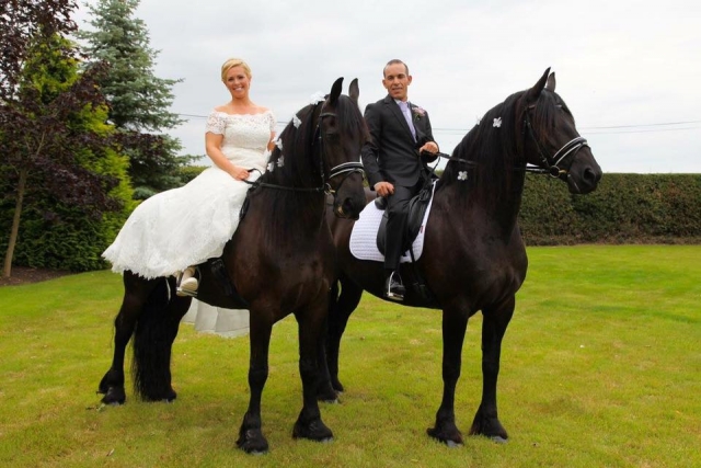  Celebre su boda con Training en Black Horses Ltd 
