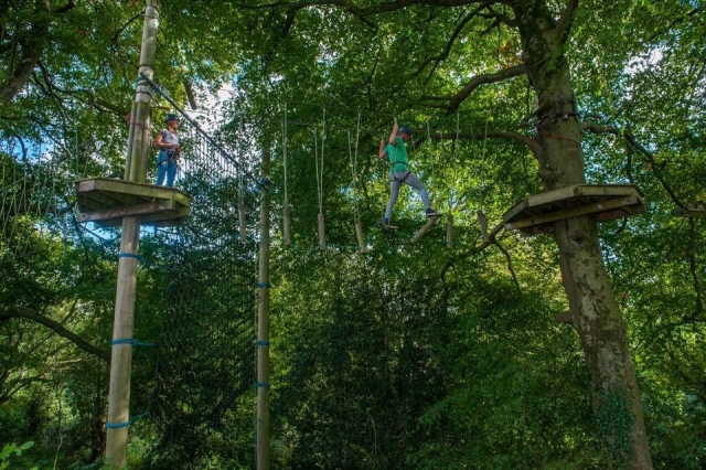 ¡Siéntele como un mono con TreeTops Trail! 