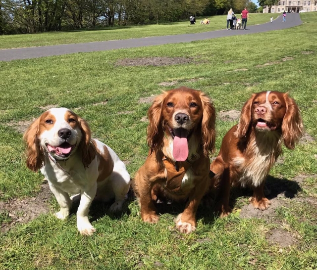  Traiga a todos a Haigh Woodland Park 