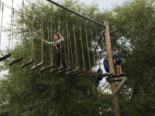  ¡Siéntele como un mono! 