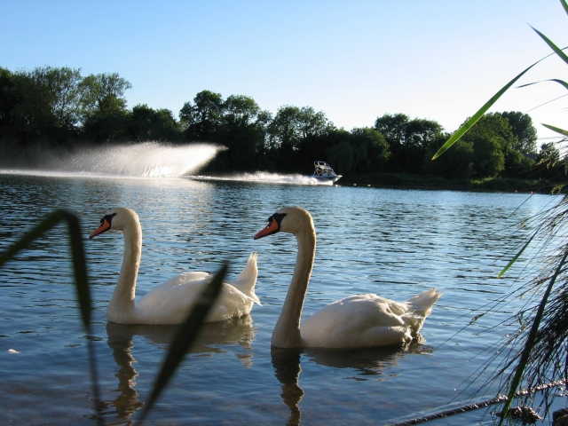  Paisajes hermosos y tranquilos 