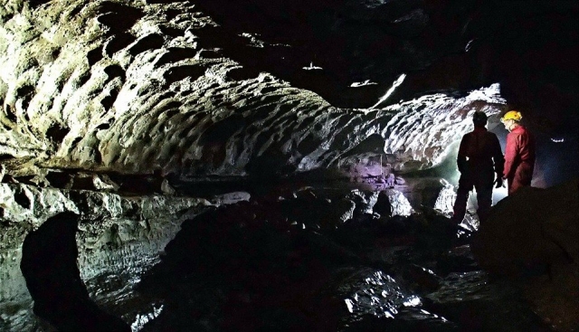  ¡Explora y descubre! 