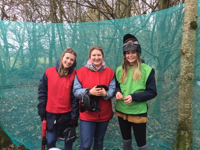  ¡Feliz salida de gallina! 