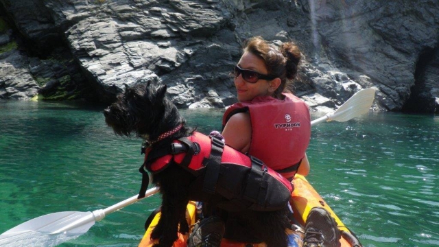  ¡Trae a su cuale a West Lakes Adventure! 