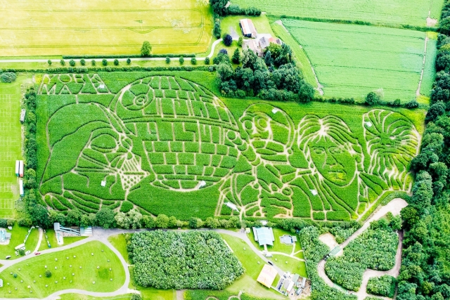  Un laberinto de Star Wars !!! 