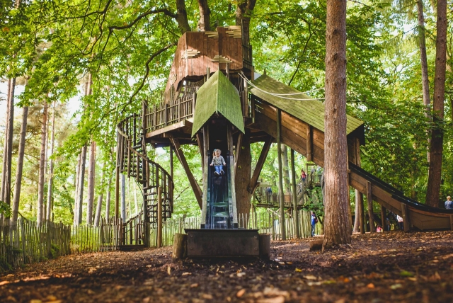  ¡Deje que los niños disfruten del bosque! 