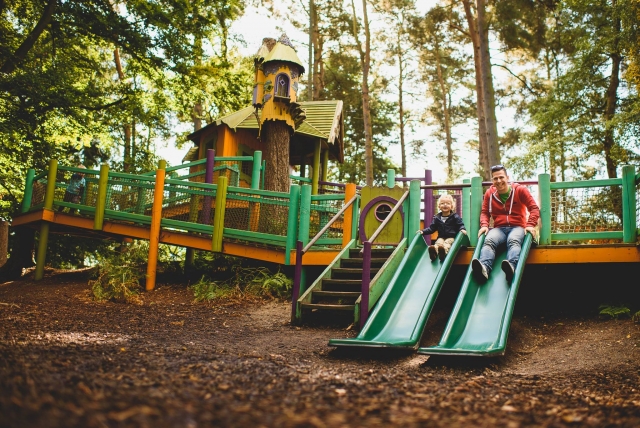  ¡Disfrule con su pequeño! 