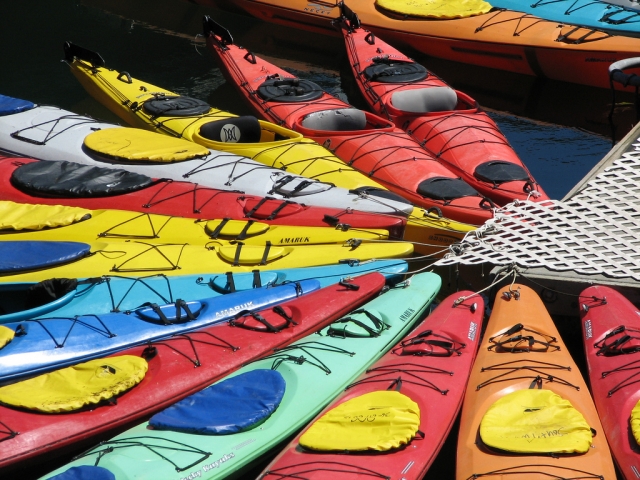  ¡Kayaks! 