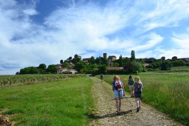  ¡También opciones de nivel fáciles! 