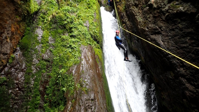 Zipline 