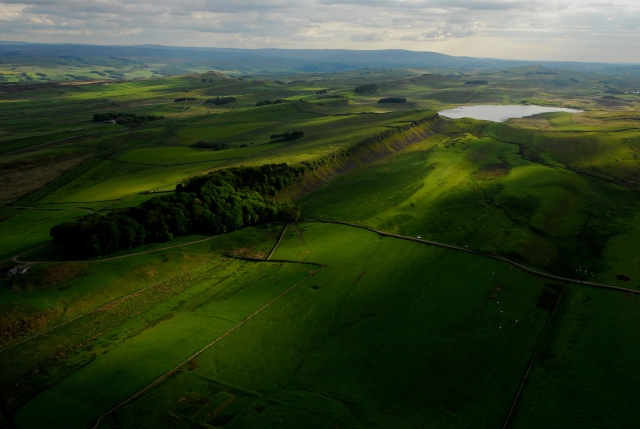  Vuela sobre pastos verdes 