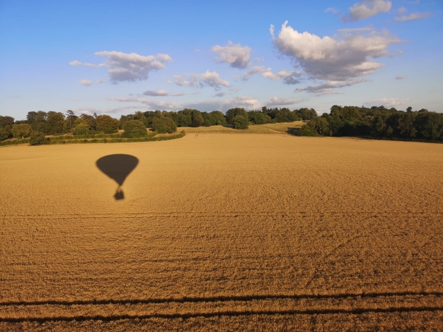 Vuela sobre el campo 
