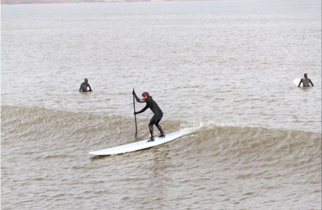  Stand up paddle boarding in the Coast 