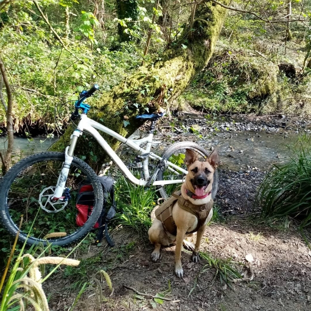  pbaños en bicicleta de cerro 