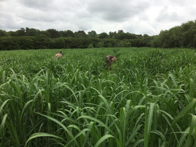  Grandes lugares para divertirse 