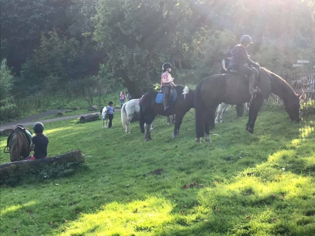  Disfruta de una aventura a caballo en Glasgow