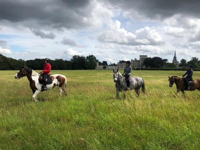  Trekking a caballo con amigos 