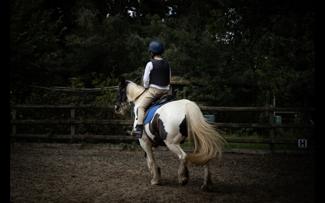  Subir a caballo 