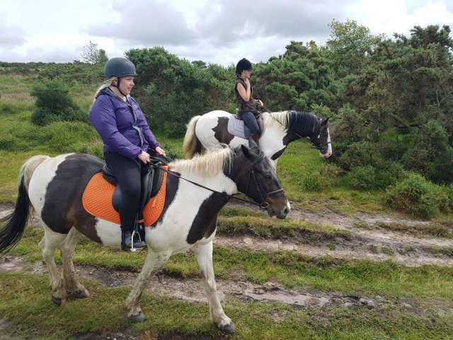  Un paseo matutino para nuestros caballos en Ashdown Forest 