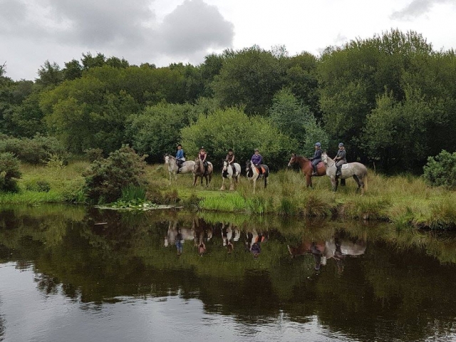  Sacando caballos Salir a caminar por el bosque de Ashdown.