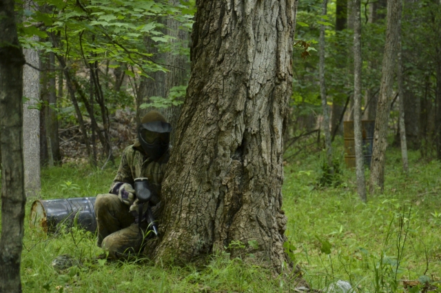 Hombre detrás de un árbol jugando gotcha 