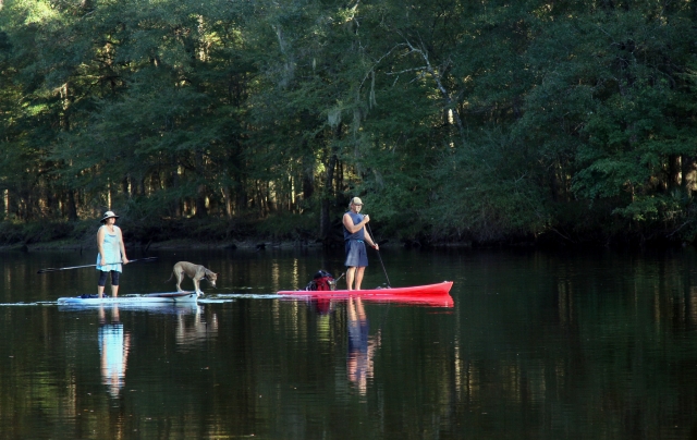 Hombre y mujer sobre tablas rojas y azules aprendiendo a hacer paddleboard