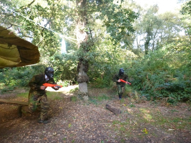  Conviértele en el ganador definitivo de gotcha 