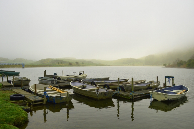  Renta de barcos de pesca 